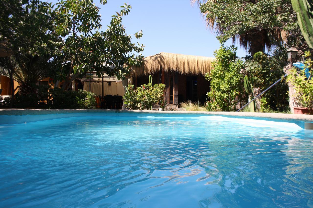 Tikay Suite Hotel Copiapó Esterno foto